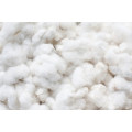 Cotton
